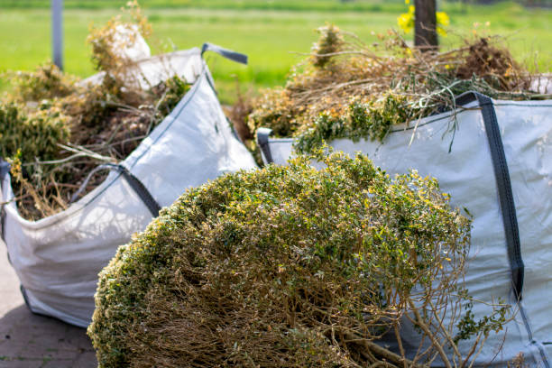Best Dumpster Rental Services  in Lawrence, NY